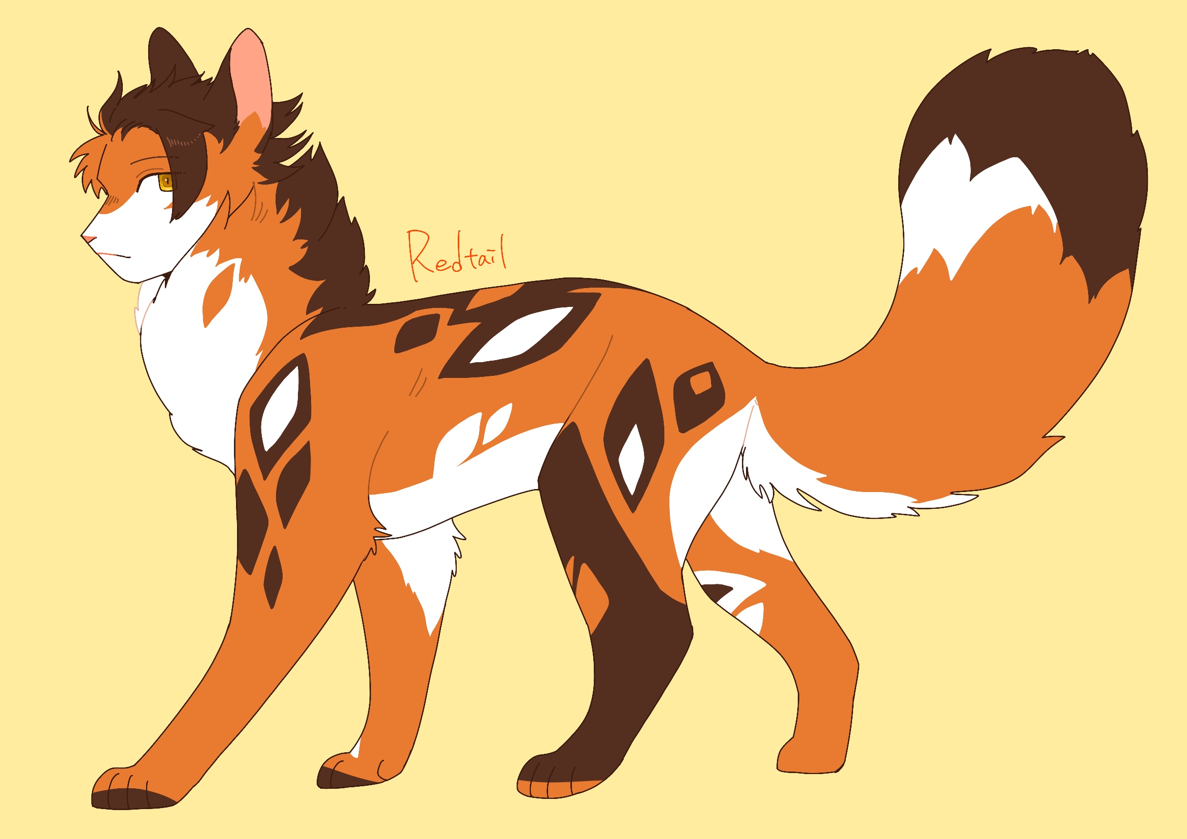 neko gokoro, the prophecies begin, warrior cats, commentary request, highres, animal, animal focus, calico (pattern), calico cat, cat, character name, fluffy, from side, full body, no humans, orange eyes, redtail (warrior cats), simple background, solo, yellow background