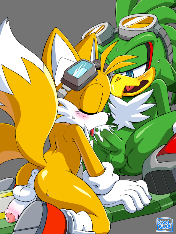 Rule34 – If it exists, there is porn of it / coolblue, jet the hawk, tails / 165808