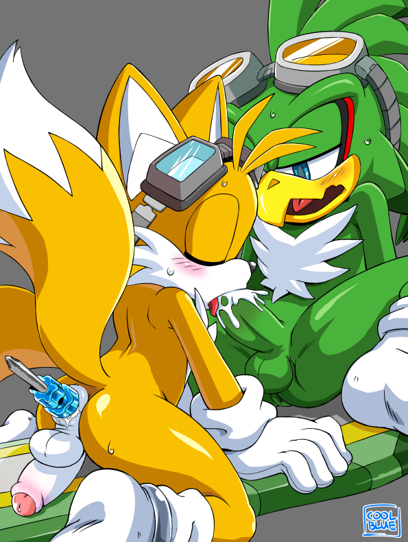 Rule34 – If it exists, there is porn of it / coolblue, jet the hawk, tails / 165822