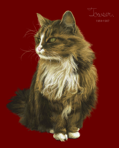 original, lowres, tagme, animal, animal focus, cat, english text, no humans, realistic