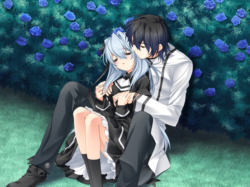 toujou sakana, ashe (under the moon), seizh, under the moon, game cg, 1boy, 1girl, black hair, blue hair, couple, dress, flower, hetero, kiss, rose, sitting, sleeping, socks, white hair