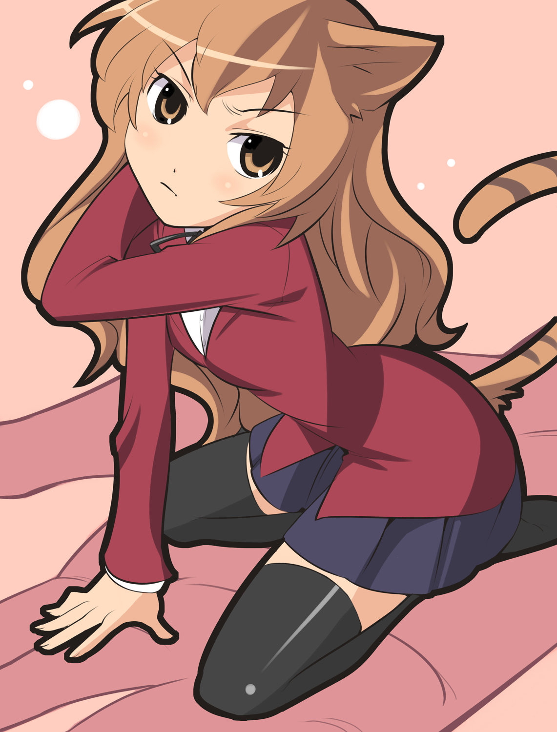 xr650r, aisaka taiga, toradora!, bad id, bad pixiv id, highres, 00s, animal ears, school uniform, solo, tail, thighhighs, zettai ryouiki
