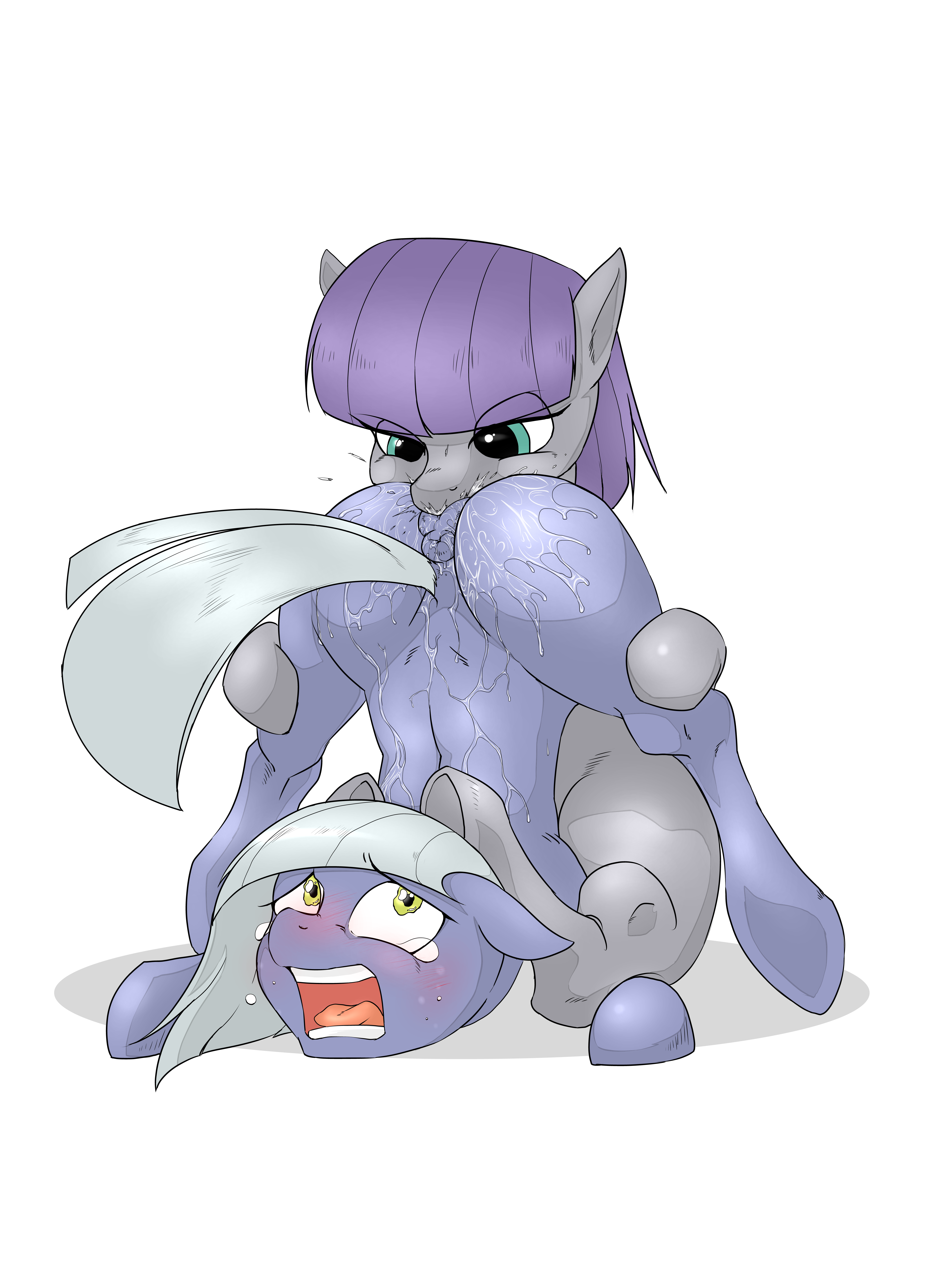 Rule34 – If it exists, there is porn of it / limestone pie, maud pie / 166622