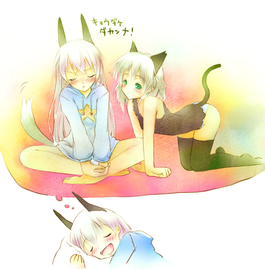 saeki touma, eila ilmatar juutilainen, sanya v. litvyak, strike witches, world witches series, silver hair, bad id, bad pixiv id, 00s, 2girls, all fours, animal ears, barefoot, blush, dreaming, drooling, green eyes, indian style, multiple girls, panties, sitting, sleeping, speech bubble, tail, thighhighs, thought bubble, underwear