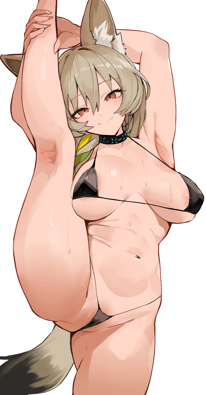 hetima0112, beanstalk (arknights), infection monitor (arknights), arknights, bad fantia id, bad id, highres, variant set, 1girl, alternate breast size (larger), alternate costume, animal ear fluff, areola slip, armpits, arms up, bikini, black bikini, blush, breasts, breasts apart, brown hair, clitoris peek, closed mouth, feet out of frame, gluteal fold, hair between eyes, holding own leg, hyena ears, hyena girl, hyena tail, kneepits, large breasts, looking at viewer, medium hair, micro bikini, navel, orange eyes, partially visible vulva, sideboob, simple background, smile, solo, split, standing, standing on one leg, standing split, stomach, string bikini, sweat, swimsuit, thighs, underboob, white background