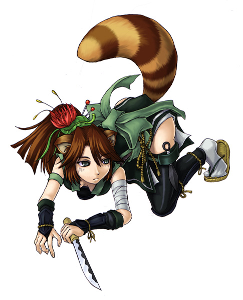 kenkou cross, gyoubu danuki, gyoubu danuki (monster girl encyclopedia), monster girl encyclopedia, monster girl encyclopedia ii, official art, 1girl, all fours, animal ears, bandages, female focus, hair ornament, japanese clothes, knife, kunai, monster girl, ninja, ponytail, raccoon, reverse grip, sandals, simple background, solo, tail, tail raised, tanuki, thigh strap, thighhighs, weapon, white background