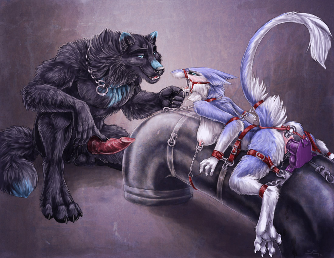 Rule34 – If it exists, there is porn of it / sabretoothed ermine, kate / 167940