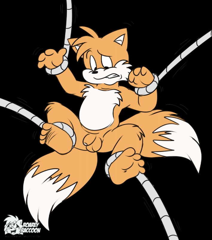 Rule34 – If it exists, there is porn of it / roarey raccoon, tails / 167942