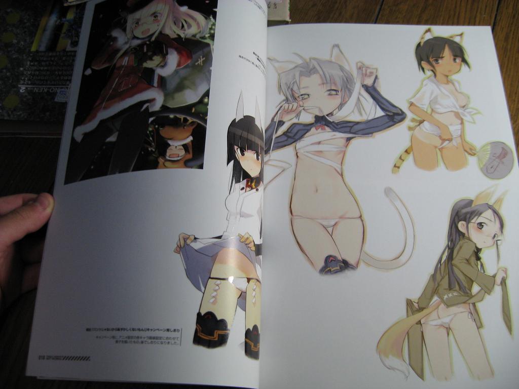 shimada fumikane, strike witches, strike witches: kurenai no majo-tachi, strike witches: suomus misfits squadron, world witches series, 00s, 6+girls, animal ears, multiple girls