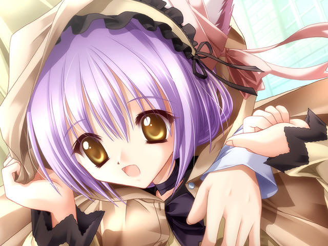 tinker bell (pixiv 10956015), mina (cafe little wish), cafe little wish, game cg, 1girl, animal ears, cape, cat ears, female focus, male hand, purple hair, ribbon, solo, yellow eyes