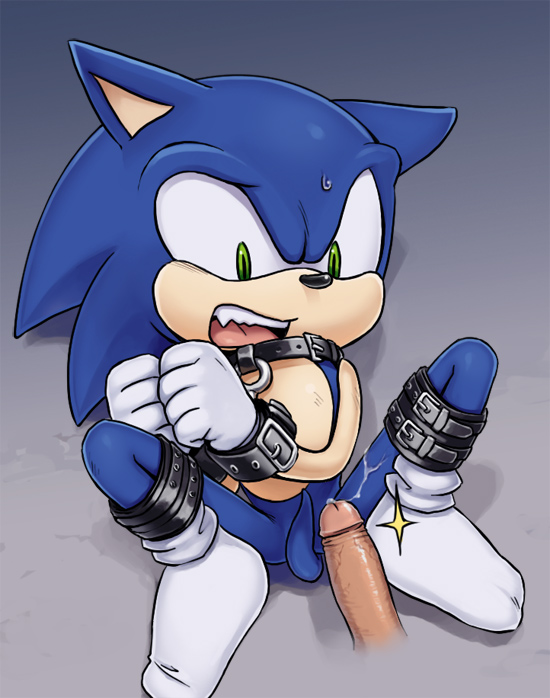 Rule34 – If it exists, there is porn of it / karlo, sonic the hedgehog / 168126