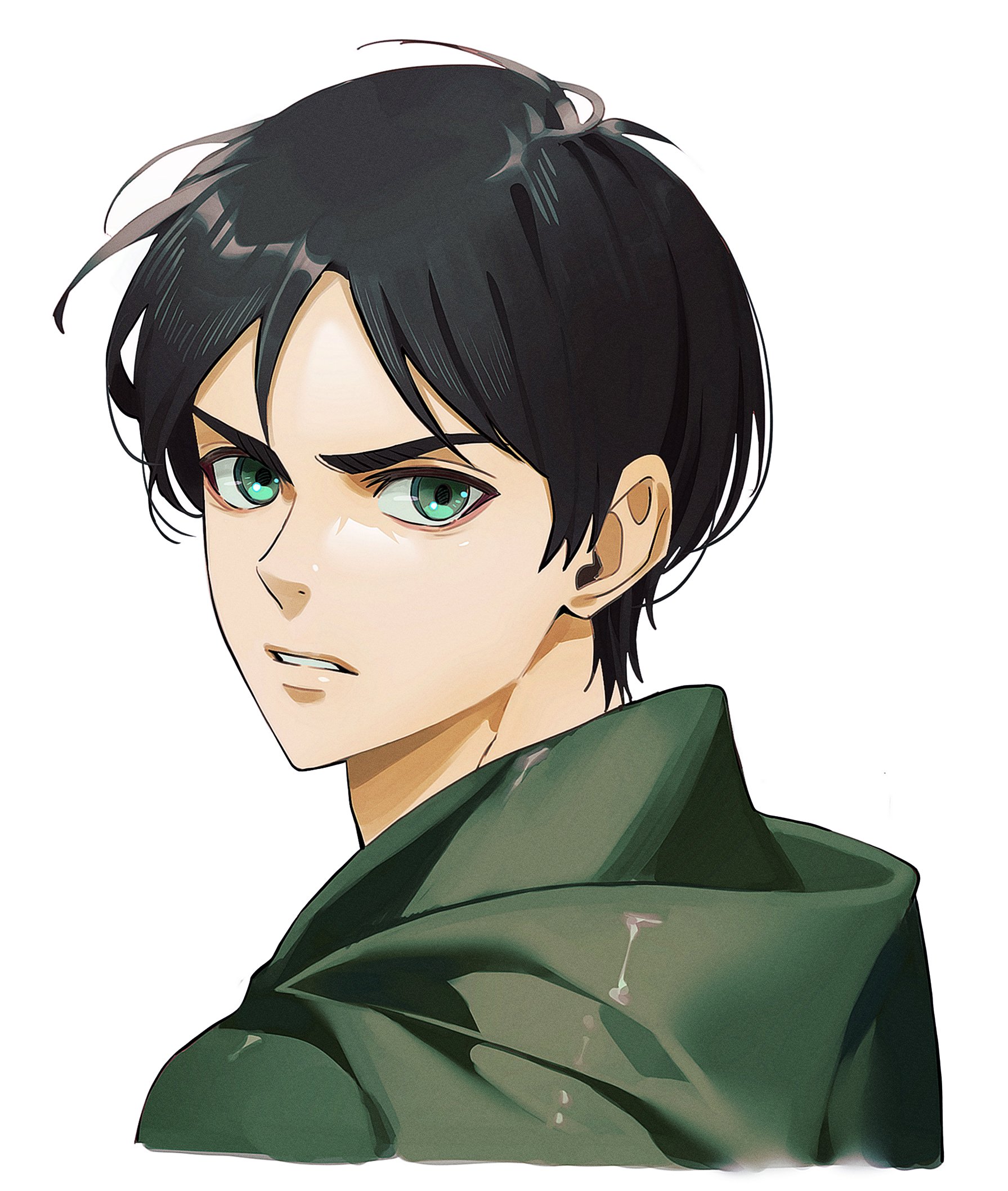 n (nauki 11), eren yeager, shingeki no kyojin, highres, 1boy, black hair, cloak, frown, furrowed brow, green cloak, green eyes, hood, hood down, hooded cloak, looking at viewer, male focus, parted bangs, parted lips, portrait, short hair, solo, upper body, white background