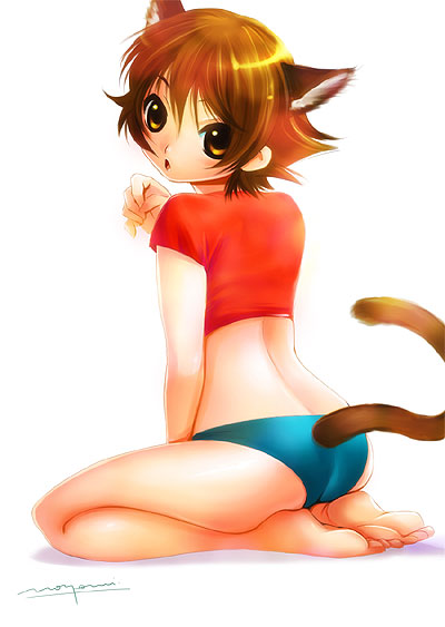 nozomi (artist), nanjou kisara, shijou saikyou no deshi ken'ichi, 00s, 10s, 1girl, animal ears, barefoot, brown hair, cat ears, cat tail, female focus, panties, short hair, solo, tail, underwear