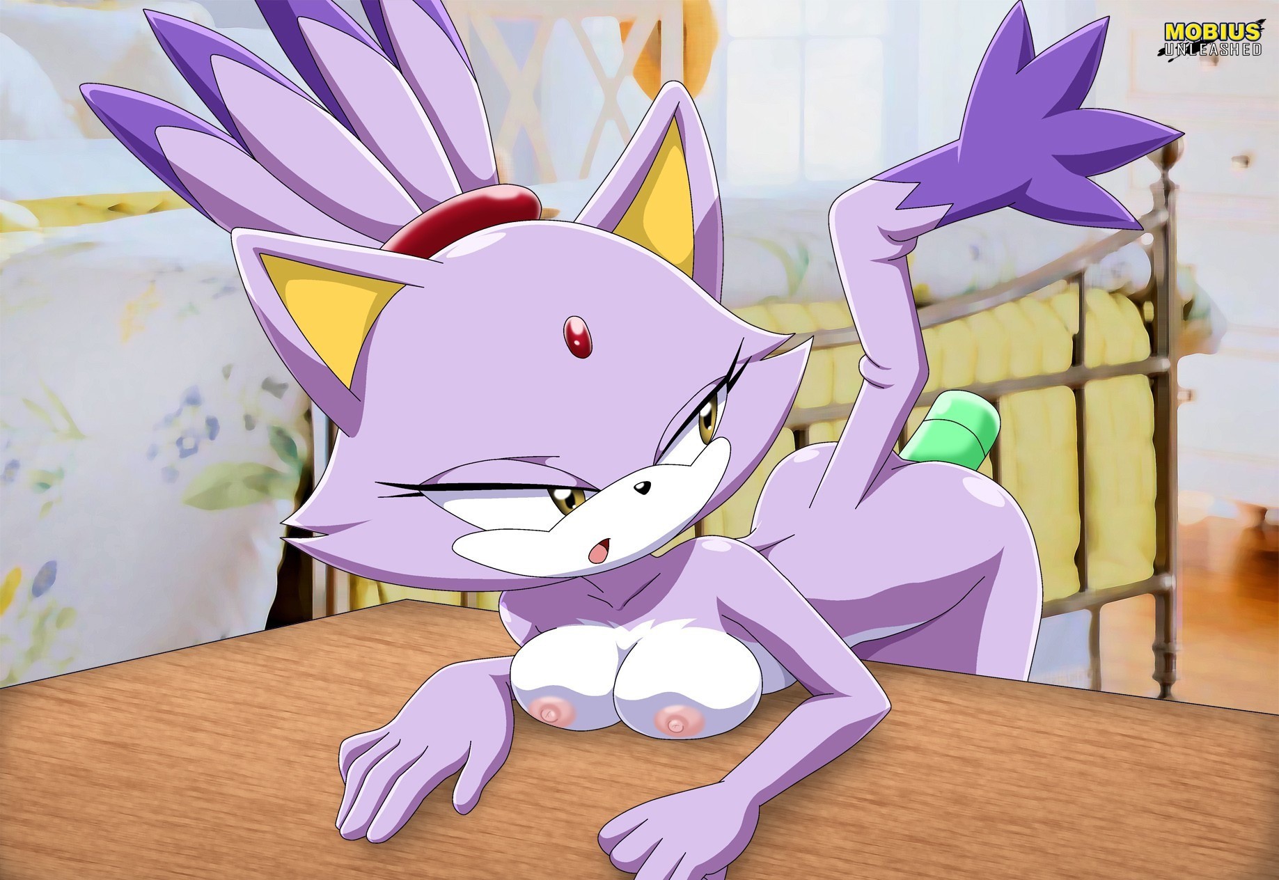 Rule34 – If it exists, there is porn of it / bbmbbf, palcomix, palcomix vip, blaze the cat / 168763