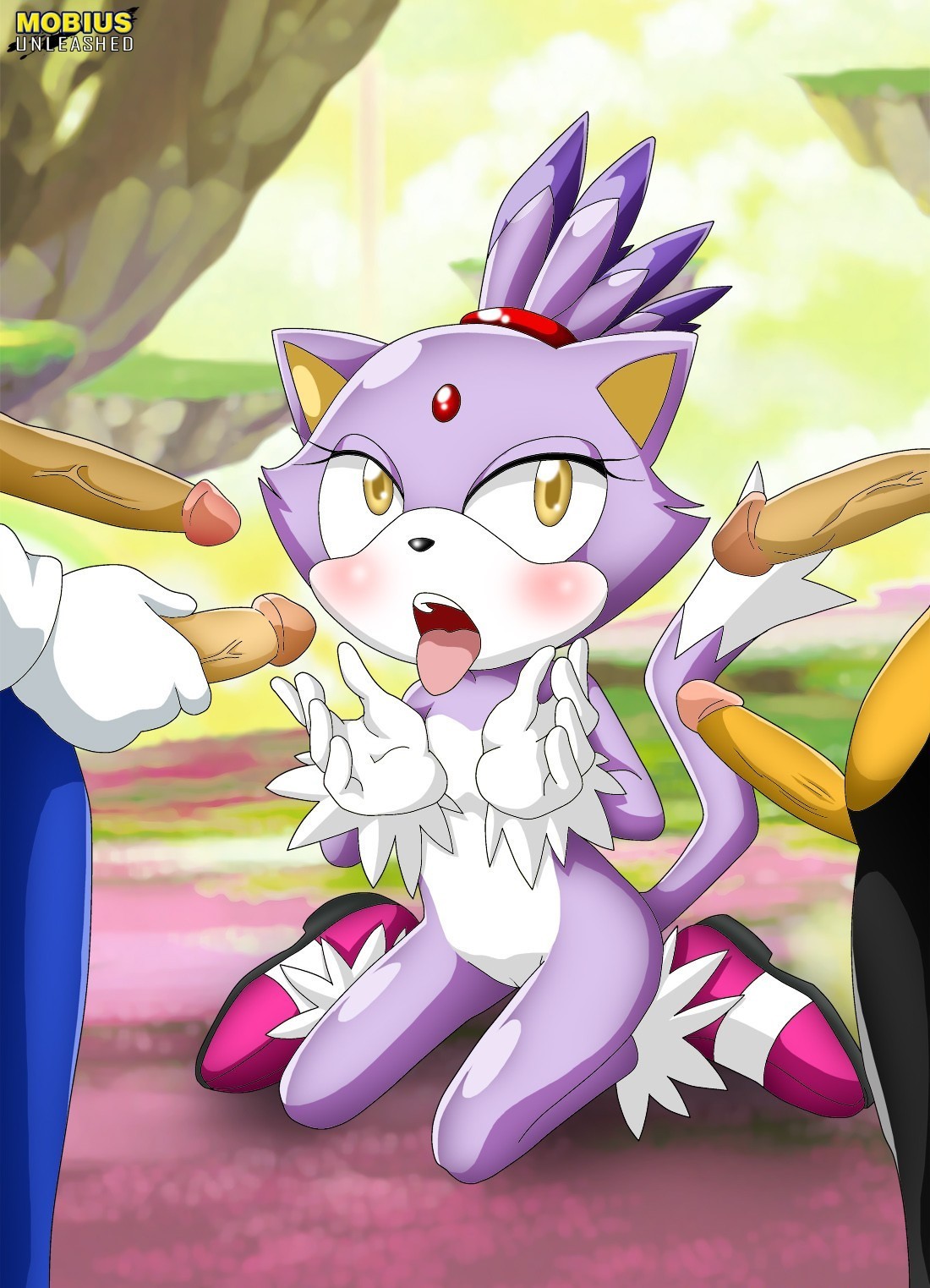Rule34 – If it exists, there is porn of it / bbmbbf, palcomix, palcomix vip, blaze the cat, sonic the hedgehog / 168772