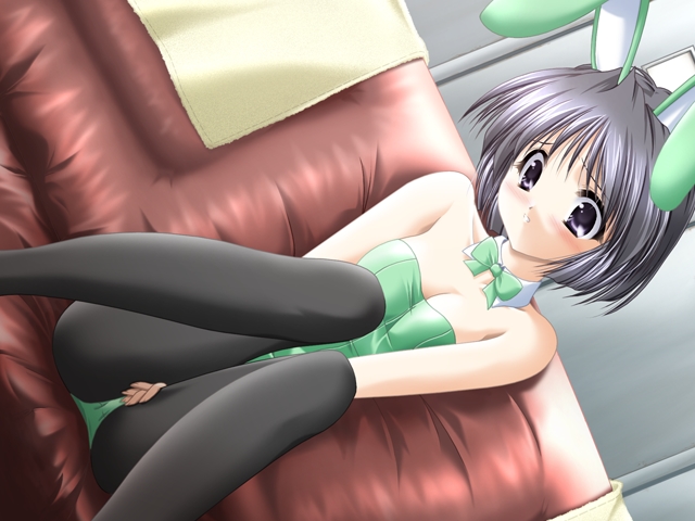aoi hatori, nanase koyuki, doki doki princess, game cg, non-web source, 1girl, animal ears, bare shoulders, between thighs, black eyes, black hair, blush, dutch angle, fake animal ears, female focus, pantyhose, playboy bunny, rabbit ears, short hair, solo, spread legs, thighs