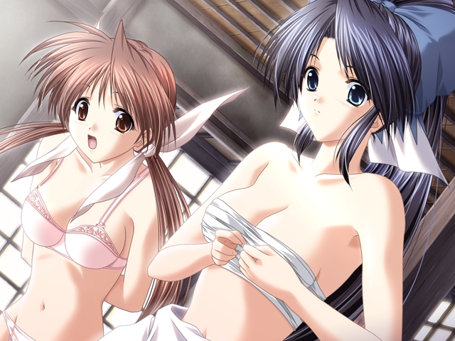 aoi hatori, shinomiya kaoru, tachibana kasumi, doki doki princess, game cg, non-web source, 2girls, bandages, blue hair, bra, brown eyes, brown hair, green eyes, lingerie, long hair, multiple girls, panties, ponytail, sarashi, twintails, underwear, underwear only, undressing