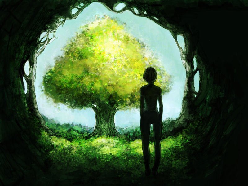 name (pixiv), name (sh), original, bad id, bad pixiv id, 1girl, cave, female focus, nature, silhouette, solo, tree