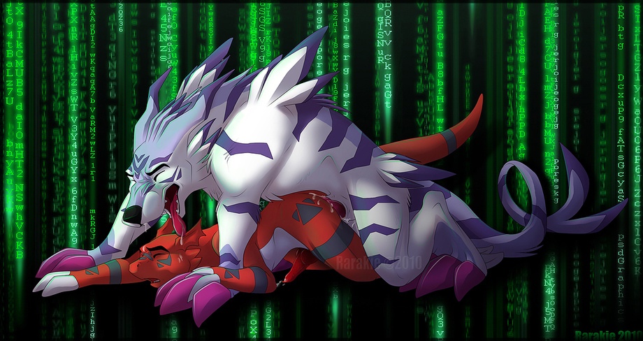Rule34 – If it exists, there is porn of it / rarakie, garurumon, guilmon / 170717