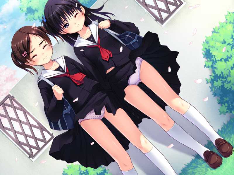 nonohara miki, kurayama aya, kurayama saya, meishoujo, tanuki-soft, white legwear, game cg, jpeg artifacts, 2girls, 3:, bag, black hair, blush, brown hair, closed eyes, dutch angle, hair bobbles, hair ornament, kneehighs, loafers, multiple girls, one side up, panties, pantyshot, petals, school uniform, serafuku, shoes, skirt, socks, underwear, wind, wind lift