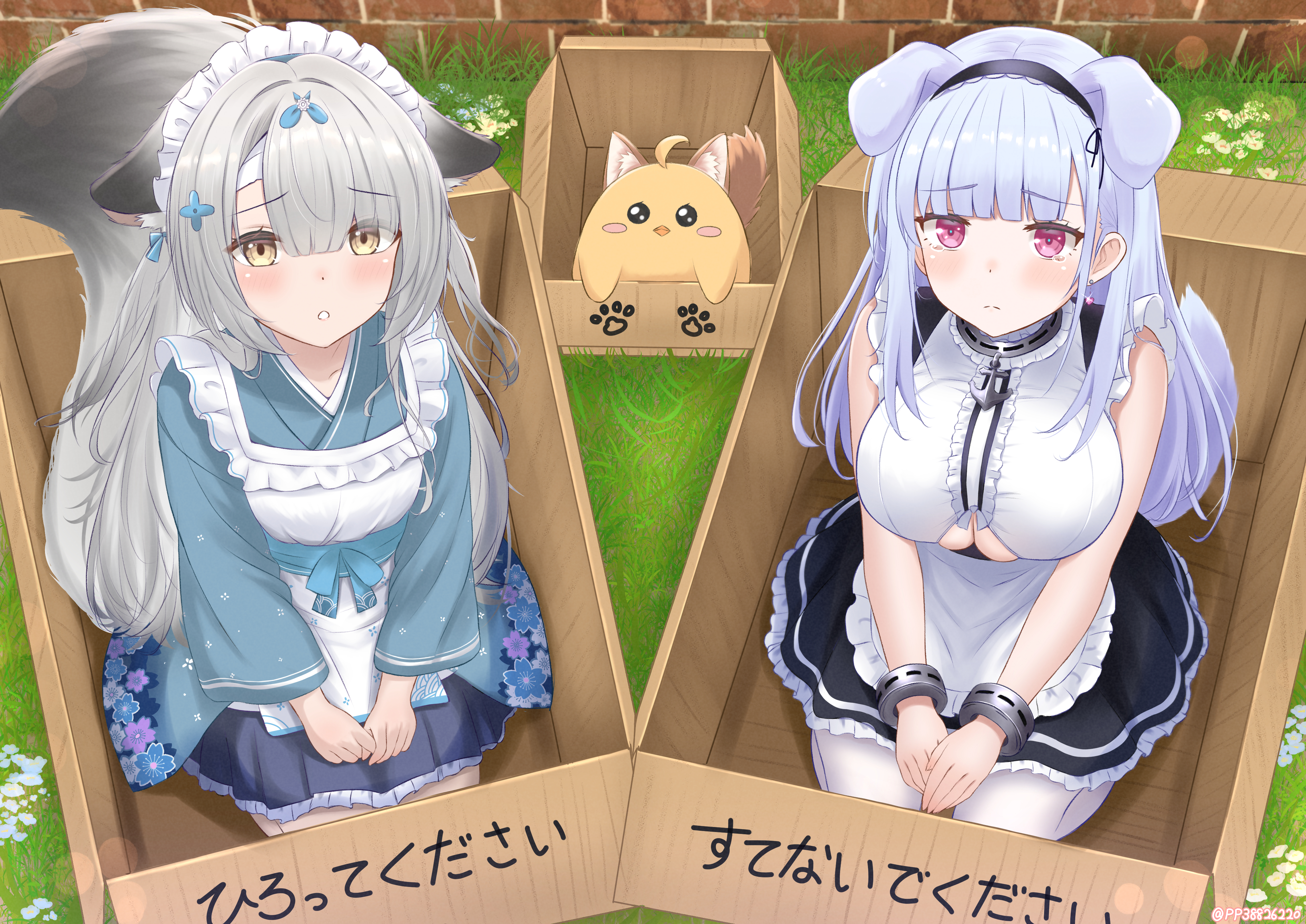 paashe, dido (azur lane), manjuu (azur lane), miyuki (azur lane), miyuki (shopping rendezvous) (azur lane), azur lane, absurdres, commentary request, highres, translation request, 2girls, :o, ahoge, alternate costume, anchor choker, anchor necklace, animal ears, apron, artist name, baby animal, bandaged head, bandages, bare shoulders, bird, black hairband, blue kimono, blue ribbon, blush, box, breasts, brick wall, brown tail, cardboard box, cat ears, cat tail, center frills, chick, choker, cleavage, closed mouth, clothing cutout, collarbone, day, dog ears, dog tail, droopy ears, earrings, enmaided, floral print, flower, fox ears, fox girl, fox tail, framed breasts, frilled apron, frilled choker, frills, from above, frown, grass, grey hair, hair flower, hair ornament, hair ribbon, hairband, hands on lap, heart, heart earrings, in box, in container, japanese clothes, jewelry, kemonomimi mode, kimono, kneeling, lace-trimmed hairband, lace trim, large breasts, large tail, long hair, long sleeves, looking at viewer, looking up, maid, maid apron, maid headdress, multiple girls, necklace, official alternate costume, open mouth, outdoors, parted lips, paw print, pleading eyes, purple eyes, purple tail, ribbon, skindentation, skirt, sleeveless, small breasts, tail, tearing up, teeth, thighhighs, underboob, underboob cutout, very long hair, wa maid, waist apron, white apron, white hair, white thighhighs, wide sleeves, yellow eyes