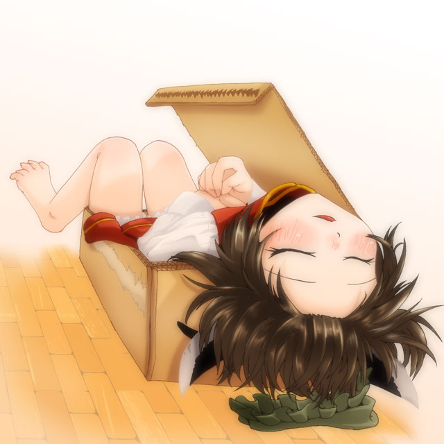 asatana, chen, touhou, bad id, bad pixiv id, 1girl, barefoot, blush, box, cardboard box, female focus, in box, in container, sleeping, solo