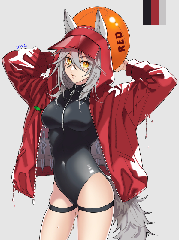 nishi juuji, projekt red (arknights), projekt red (light breeze) (arknights), arknights, commentary, 1girl, animal ears, arms up, ball, beachball, black one-piece swimsuit, breasts, color guide, contrapposto, covered navel, cowboy shot, dated, ears through hood, grey background, grey hair, hair between eyes, holding, holding ball, holding beachball, hood, hood up, hooded jacket, jacket, knife, large breasts, long sleeves, looking at viewer, official alternate costume, one-piece swimsuit, open clothes, open jacket, parted lips, red jacket, simple background, solo, standing, swimsuit, tail, thigh strap, wolf ears, wolf girl, wolf tail, yellow eyes