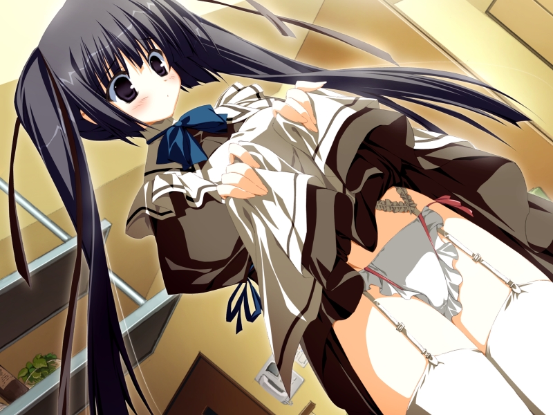 suzuri, suzuri (tennenseki), h2o footprints in the sand, game cg, non-web source, 00s, 1girl, black eyes, black hair, clothes lift, dress, dress lift, dutch angle, female focus, garter belt, long hair, panties, solo, thighhighs, twintails, underwear