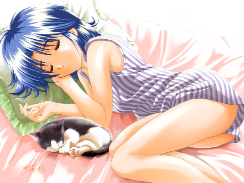 hijikata isami, striped, 00s, 1girl, 2001, animal, bed, blue hair, blush, cat, closed eyes, dated, female focus, lying, october, parted lips, pillow, short hair, sleeping, solo, teeth