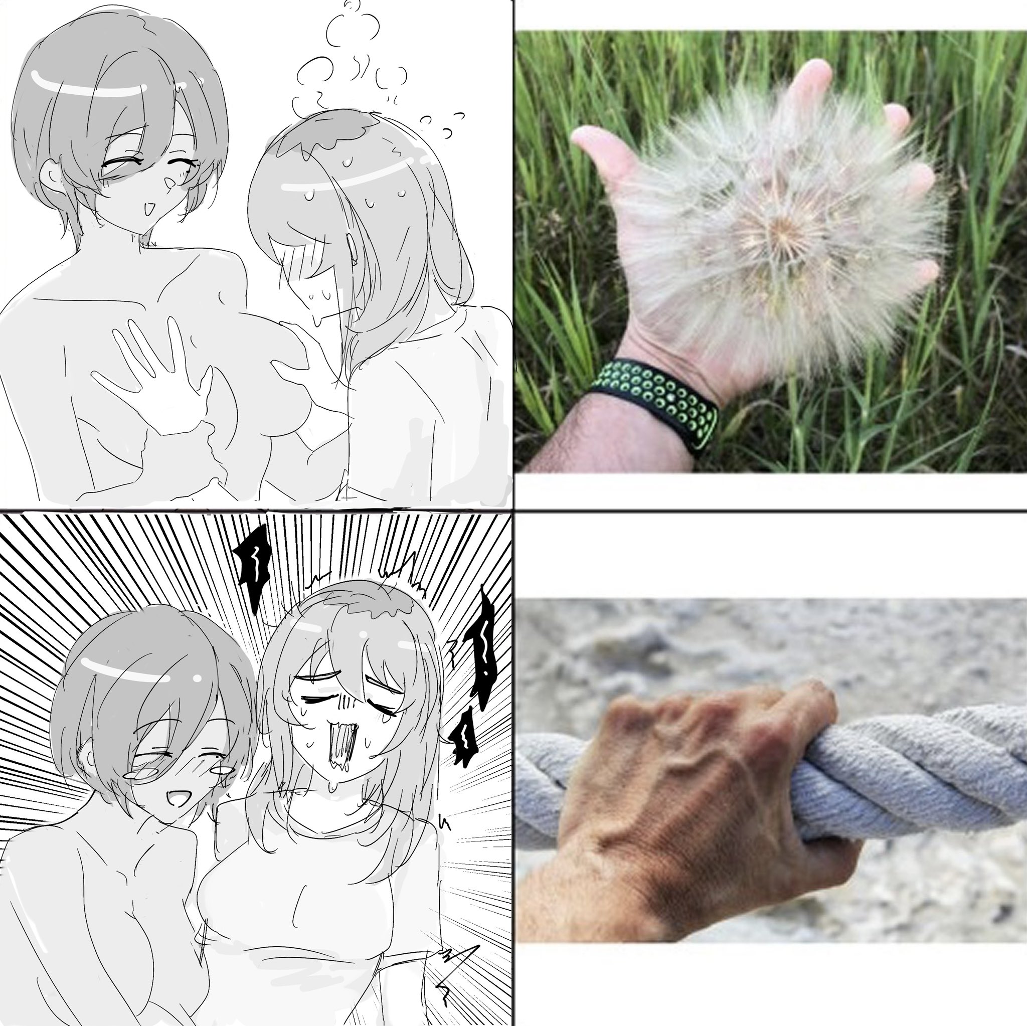 n nai nai n, kawaragi momoka, rupa (girls band cry), girls band cry, highres, 2girls, dandelion, dandelion clock, flower, greyscale, groping, hair between eyes, implied futanari, long hair, long hair between eyes, monochrome, multicolored hair, multiple girls, nude, photo inset, roots (hair), rope, sweat