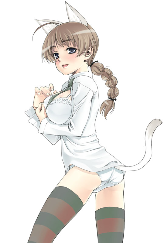 satou atsuki, lynette bishop, strike witches, world witches series, 00s, 1girl, animal ears, bra, braid, breasts, brown hair, cat ears, cat tail, female focus, large breasts, lingerie, long hair, open clothes, open shirt, panties, shirt, single braid, solo, striped clothes, striped thighhighs, tail, thighhighs, underwear