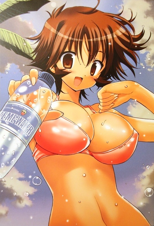 iwasaki masakazu, makihara izumi, kemeko deluxe, 00s, 1girl, bikini, bottle, breasts, brown eyes, brown hair, day, female focus, large breasts, short hair, sky, solo, swimsuit, water bottle