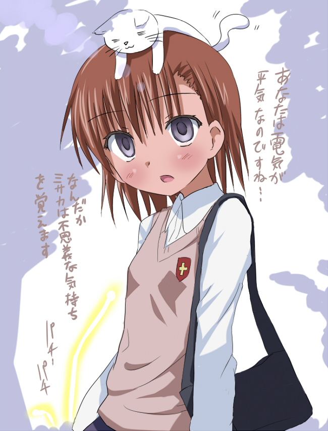 shiro tele cus, misaka imouto, toaru majutsu no index, translation request, 00s, bag, blush, brown hair, cat, handbag, purple eyes, school uniform, short hair, solo