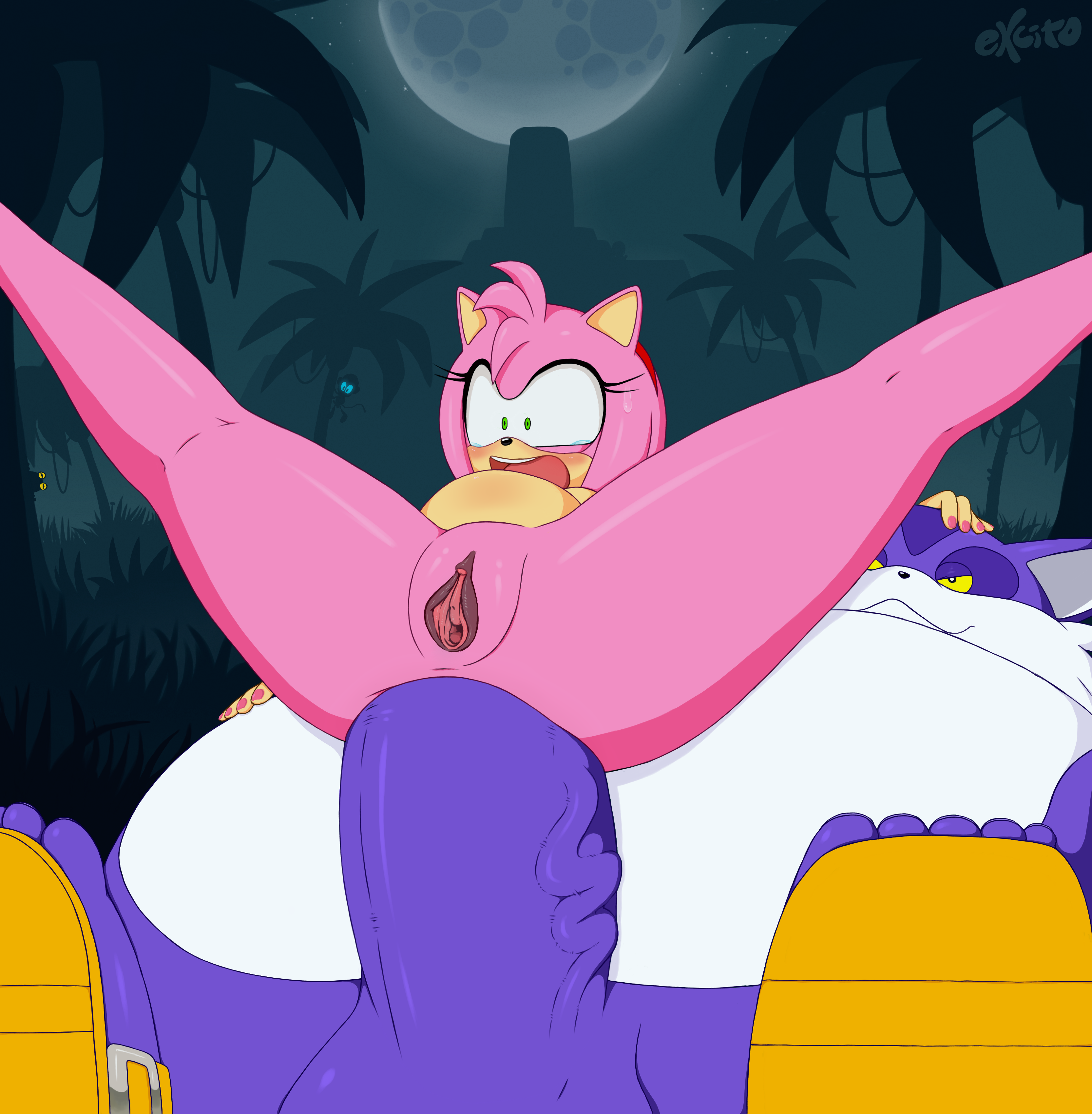 Rule34 – If it exists, there is porn of it / excito, amy rose, big the cat / 174212