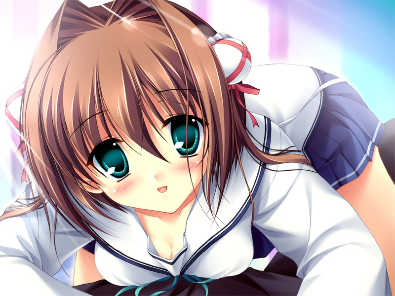 tanihara natsuki, asakura yume, da capo, da capo ii, 00s, 1girl, blush, brown hair, bun cover, double bun, female focus, green eyes, hair bun, school uniform, short hair, solo