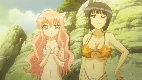 louise francoise le blanc de la valliere, siesta (zero no tsukaima), zero no tsukaima, dvd, animated, animated gif, anime screenshot, lowres, 00s, 2girls, beach, bikini, black hair, blue eyes, bouncing breasts, breasts, day, hand on own hip, long hair, medium breasts, multiple girls, navel, pink eyes, pink hair, shell, shell bikini, short hair, small breasts, star (symbol), swimsuit