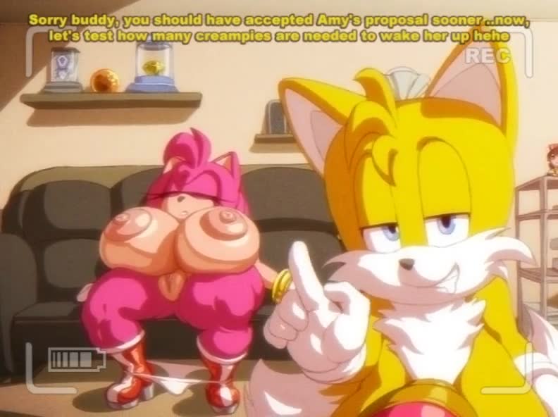 Rule34 – If it exists, there is porn of it / angelauxes, amy rose, miles tails prower, reimu hakurei, tails / 8669694