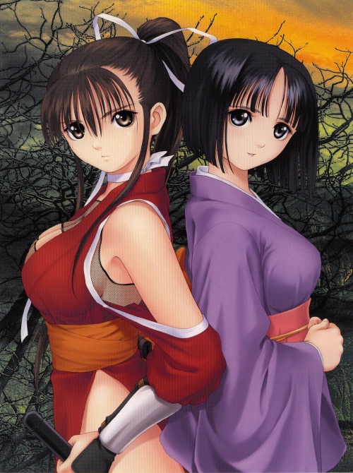 tony taka, mizuki (mitama ~shinobi~), ran (mitama ~shinobi~), mitama ~shinobi~, non-web source, 2girls, back-to-back, black eyes, black hair, blue eyes, breasts, brown eyes, brown hair, choker, cleavage, cleavage cutout, clothing cutout, fishnets, grey eyes, hair ribbon, japanese clothes, kimono, large breasts, long hair, looking back, multiple girls, ninja, outdoors, ponytail, ribbon, short hair, short kimono, sky, smile, sunset, sword, weapon