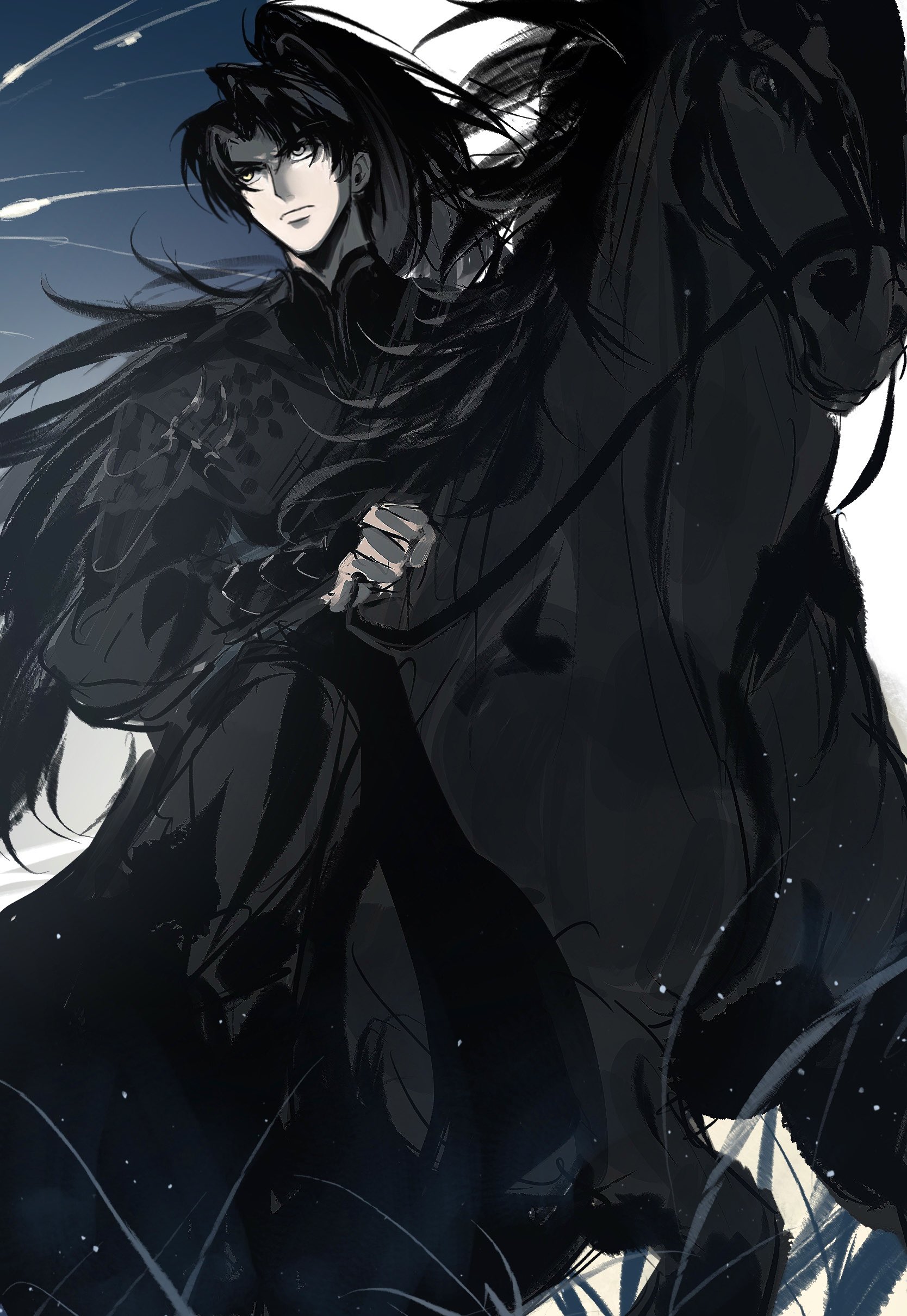 mrjieshisu, yoo joonghyuk, omniscient reader's viewpoint, absurdres, highres, 1girl, black eyes, black hair, black robe, curtained hair, full body, genderswap, genderswap (mtf), grass, high ponytail, holding, holding reins, horseback riding, light particles, official alternate costume, ponytail, reins, riding, robe, serious, solo