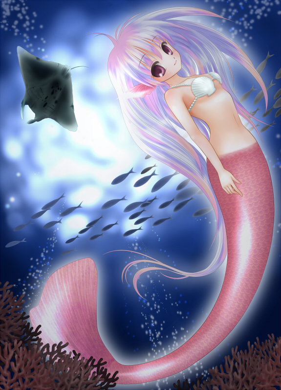 youkuzuri, original, 1girl, bikini, breasts, coral, female focus, fins, fish, from side, head fins, light smile, long hair, looking at viewer, manta ray, mermaid, monster girl, multicolored hair, purple eyes, scales, seashell, shell, shell bikini, small breasts, solo, sunlight, underwater, very long hair