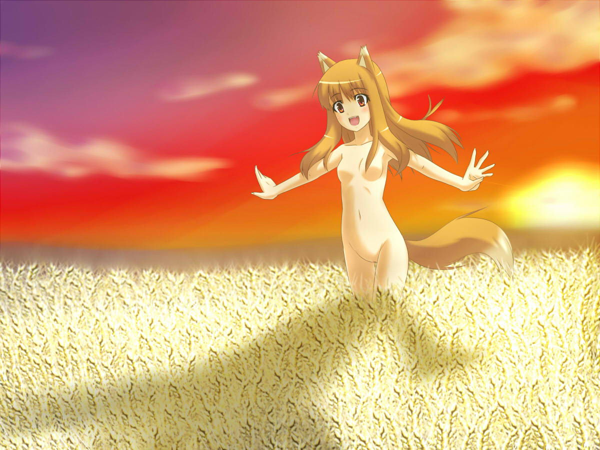 s-no, holo, spice and wolf, bad id, bad pixiv id, 00s, animal ears, brown hair, field, long hair, nude, outstretched arms, red eyes, solo, spread arms, sunset, tail, wheat, wolf ears, wolf tail