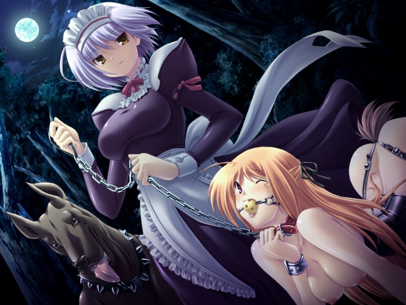tsurugi hagane, dreamsoft, natural another one 2nd belladonna, game cg, source request, 2girls, all fours, anal, anal beads, anal object insertion, anal tail, ass, ball gag, bdsm, bitch taken for walk, bondage, bondage outfit, bound, breasts, butt plug, chain, chain leash, cloud, collar, corset, dog, fake tail, female focus, femdom, forest, gag, gagged, hanging breasts, holding, holding leash, humiliation, leash, long hair, maid, moon, multiple girls, nature, night, nipples, object insertion, orange hair, outdoors, pet play, plant, purple hair, short hair, sky, slave, standing, tail, tears, tree, yuri