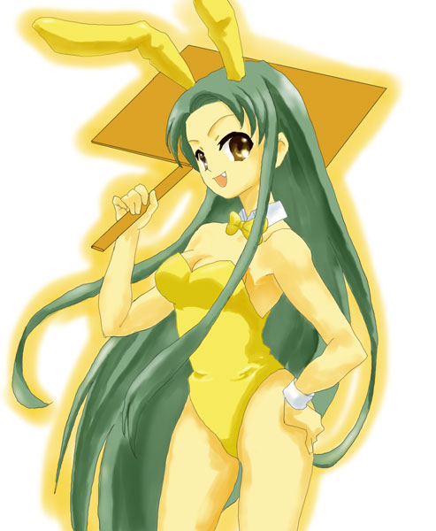 boroko, tsuruya, suzumiya haruhi no yuuutsu, bad id, bad pixiv id, 00s, 1girl, animal ears, bare legs, brown eyes, fake animal ears, fang, female focus, green hair, long hair, placard, playboy bunny, rabbit ears, sign, solo, very long hair