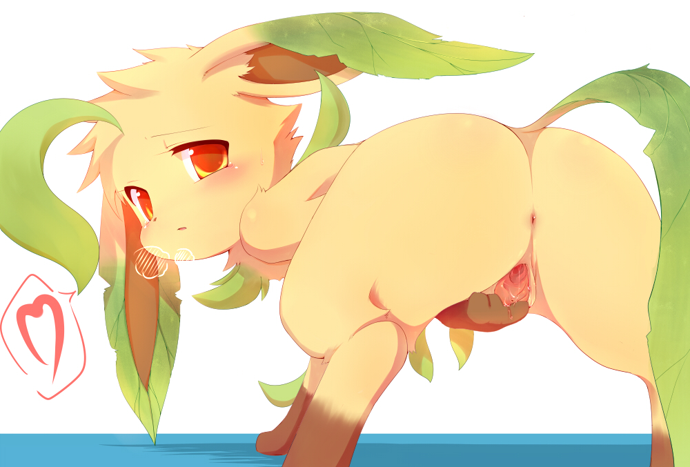 Rule34 – If it exists, there is porn of it / syuya, big, eeveelution, leafeon / 179716