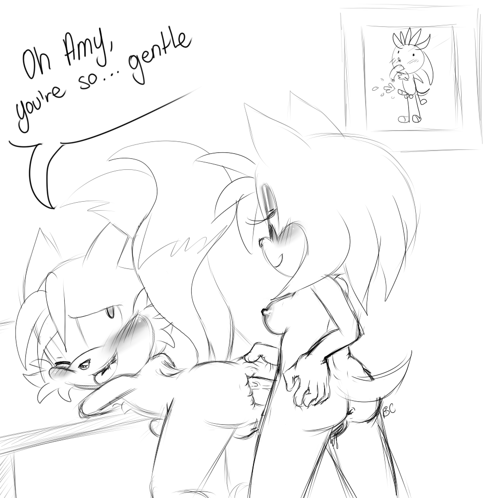 Rule34 – If it exists, there is porn of it / bluechika, amy rose, silver the hedgehog, tails / 179828