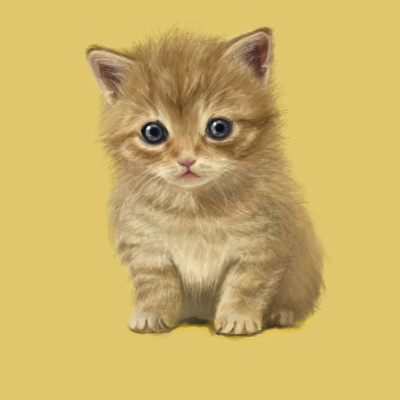 montan, lowres, 1girl, animal, animal focus, baby animal, blue eyes, cat, female focus, kitten, photorealistic, realistic, simple background, solo, yellow background