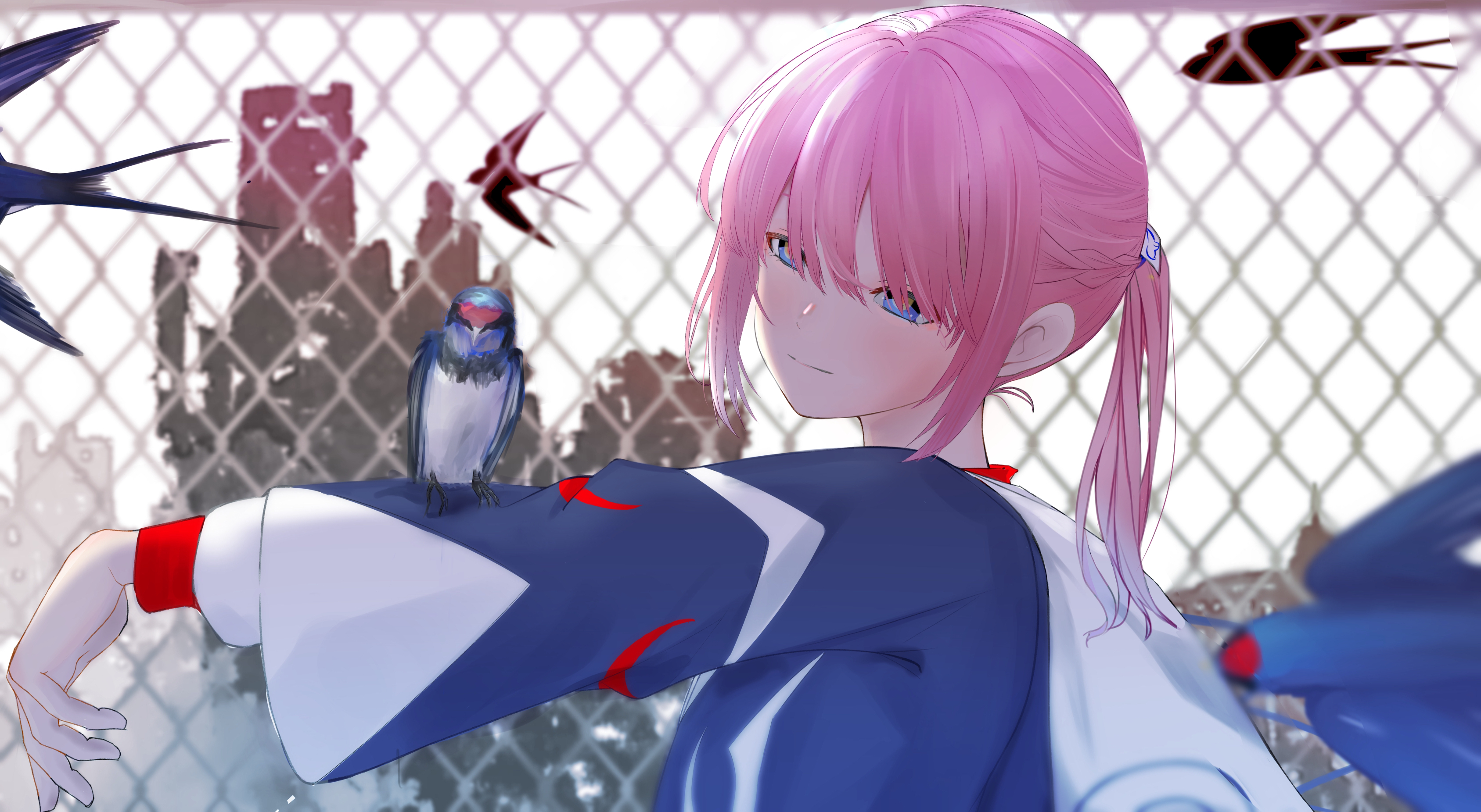 kaf (kamitsubaki studio), kamitsubaki studio, absurdres, commentary, highres, 1girl, animal on arm, bird, bird on arm, blue bird, blue eyes, blue jacket, chain-link fence, closed mouth, fence, hood, hood down, hooded jacket, jacket, long hair, long sleeves, multicolored jacket, outstretched arm, pink hair, ponytail, puffy long sleeves, puffy sleeves, sidelocks, smile, solo, swallow (bird), tamiya (user ndxa5472), virtual youtuber, white jacket