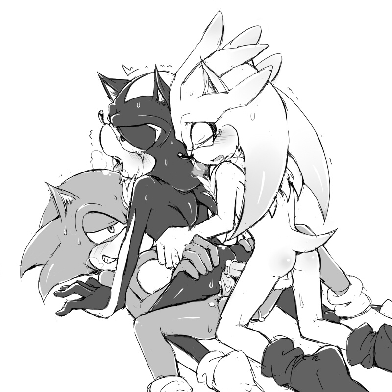 Rule34 – If it exists, there is porn of it / 7624cq, shadow the hedgehog, silver the hedgehog, sonic the hedgehog / 181882