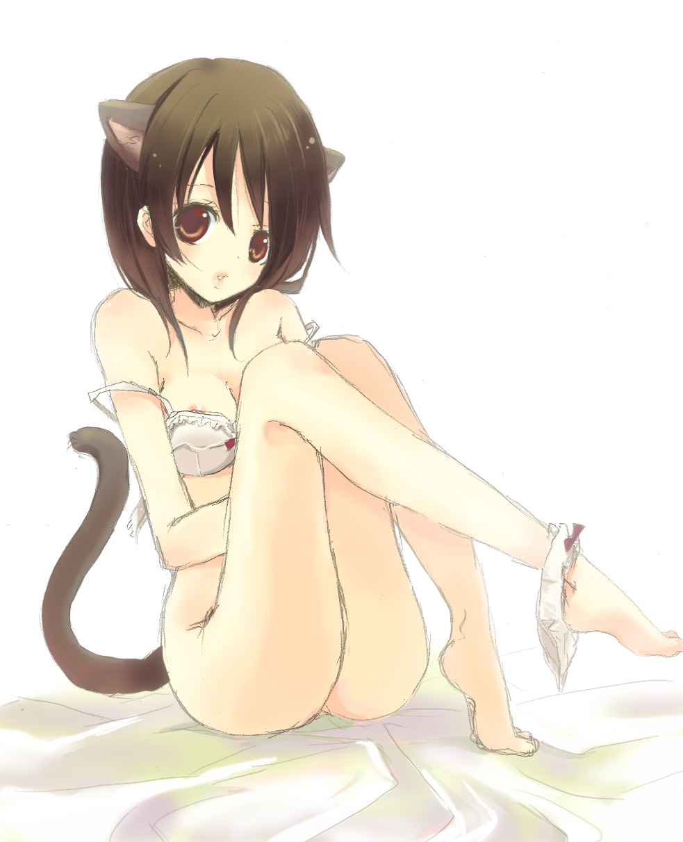 ogura, bad id, bad pixiv id, highres, 1girl, animal ears, ass, barefoot, bra, brown eyes, brown hair, feet, female focus, lingerie, lips, panties, panties around leg, short hair, solo, strap slip, tail, underwear, underwear only