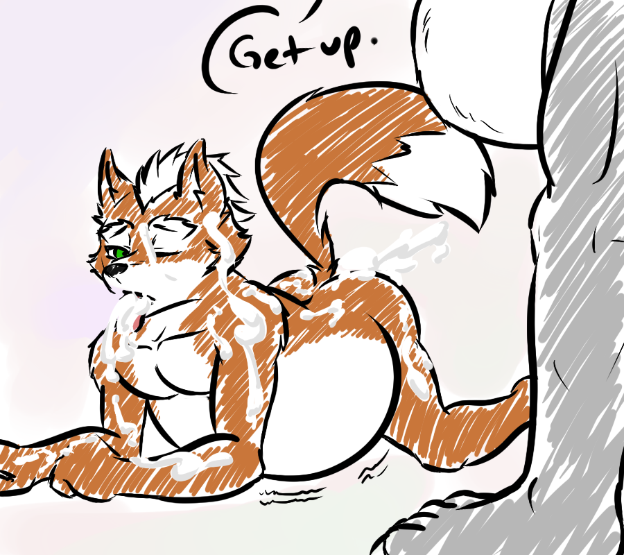 Rule34 – If it exists, there is porn of it / rath-raholand, fox mccloud / 182900